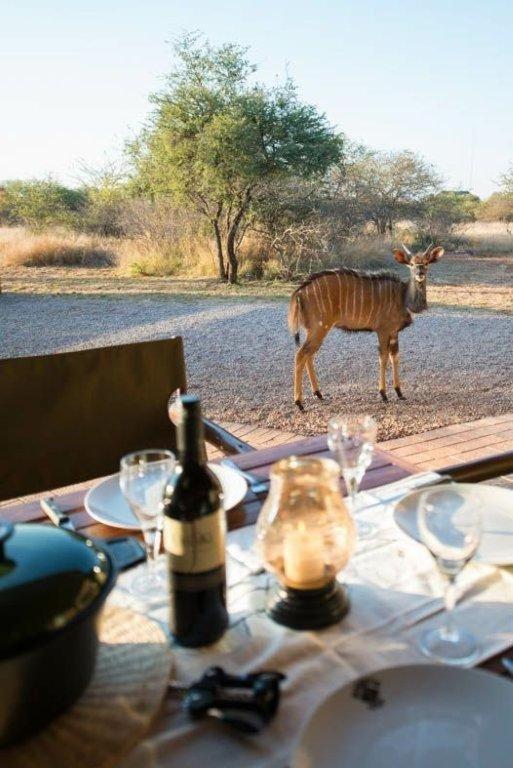 Sondela Nature Reserve & Spa Moselesele Tents Hotel Bela-Bela Exterior photo